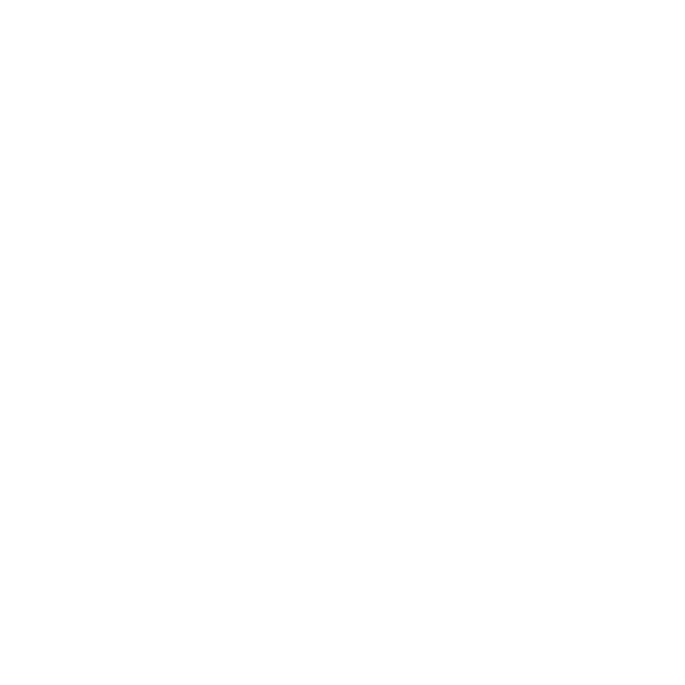Logo Icon